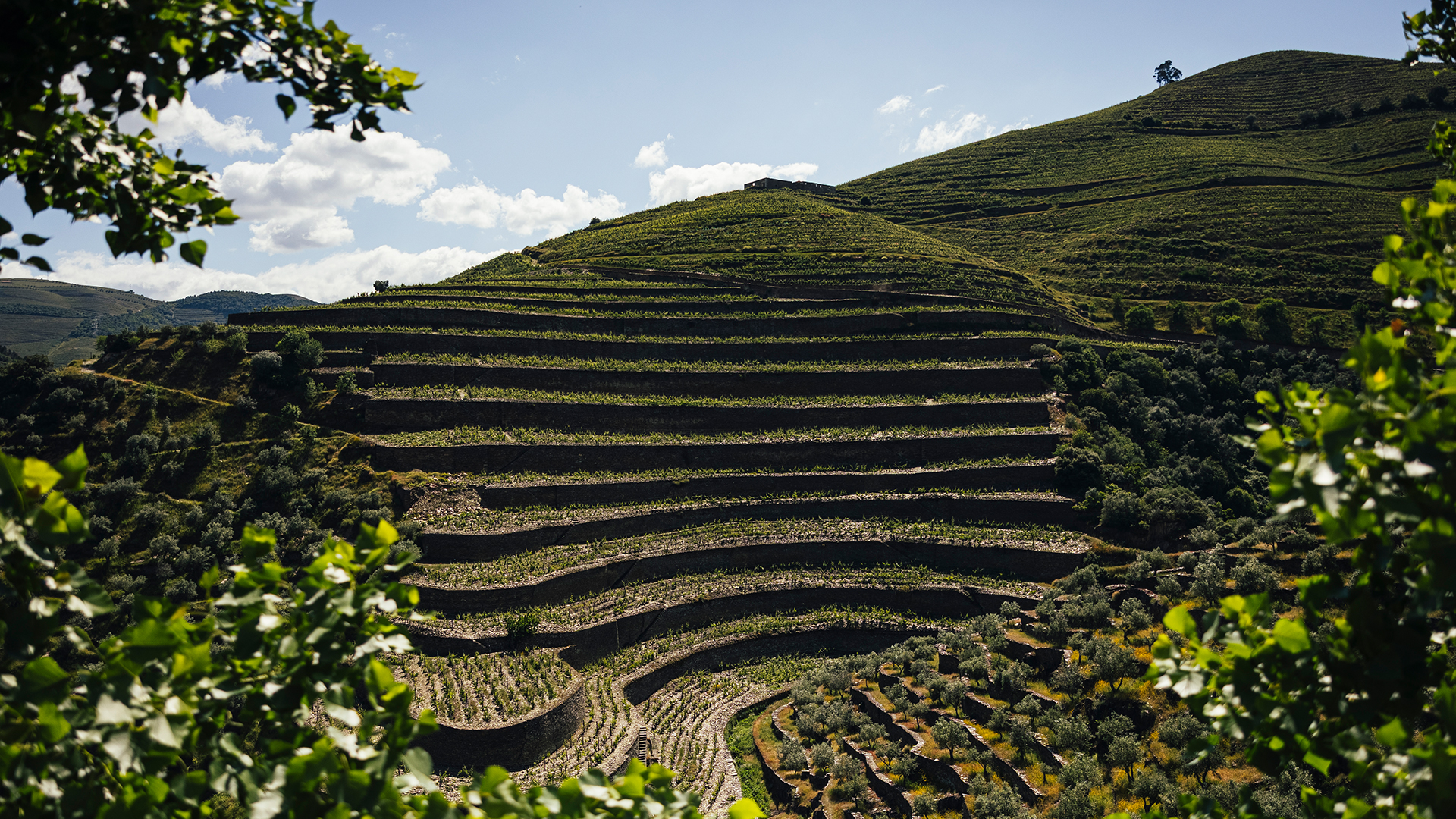 Portugal’s Finest, Delivered with Purpose