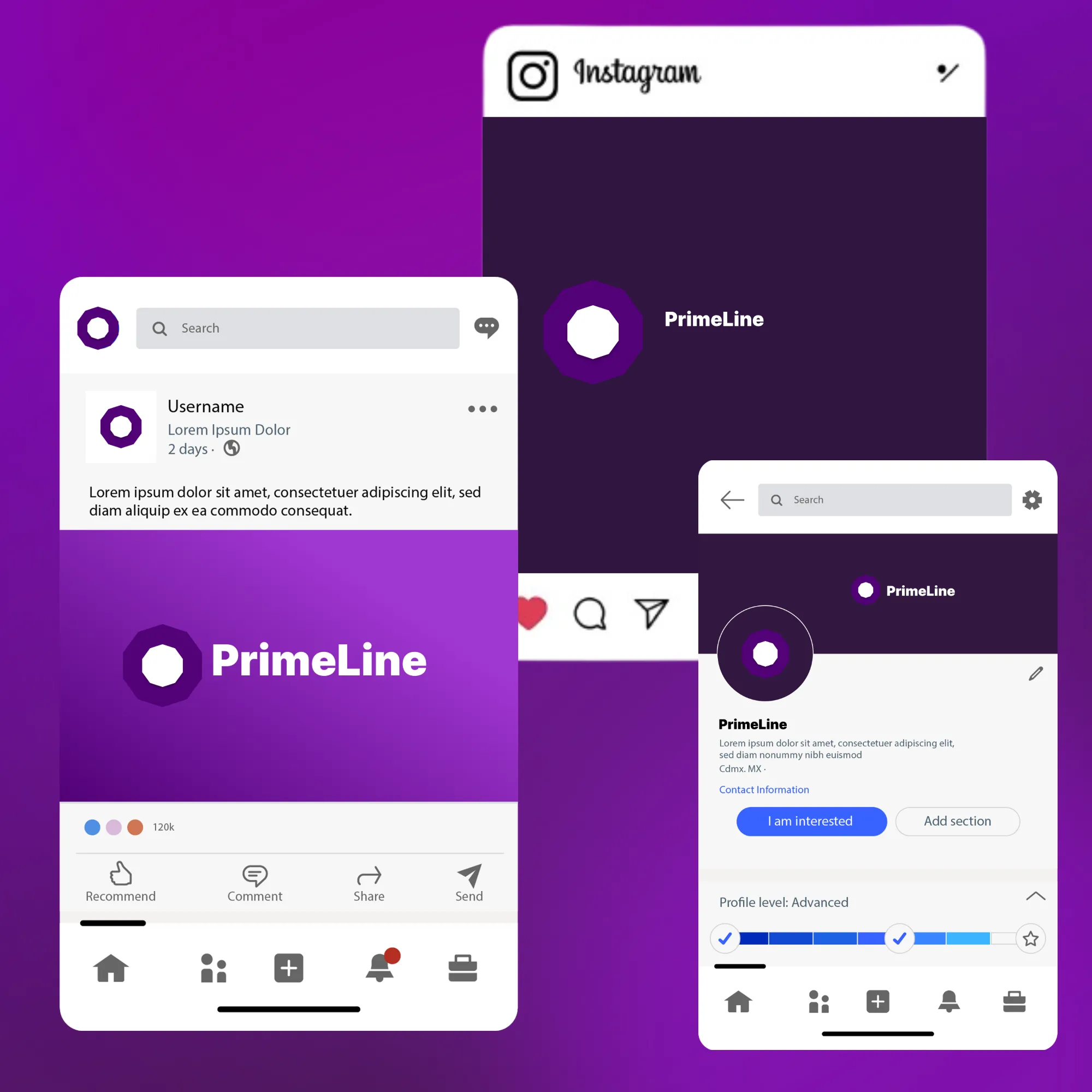 social media asset