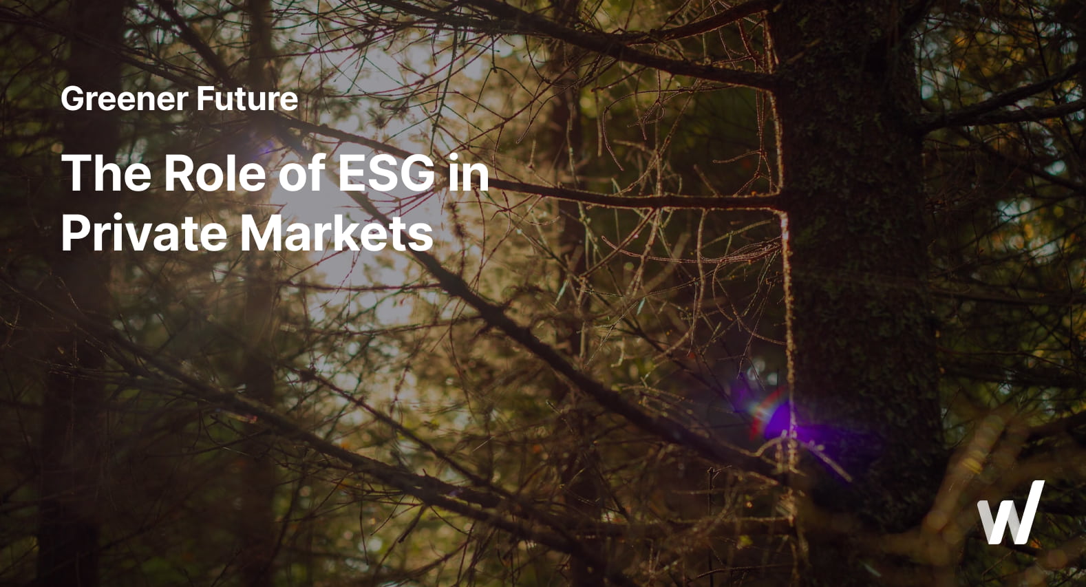 The Role of ESG in Private Market Investing