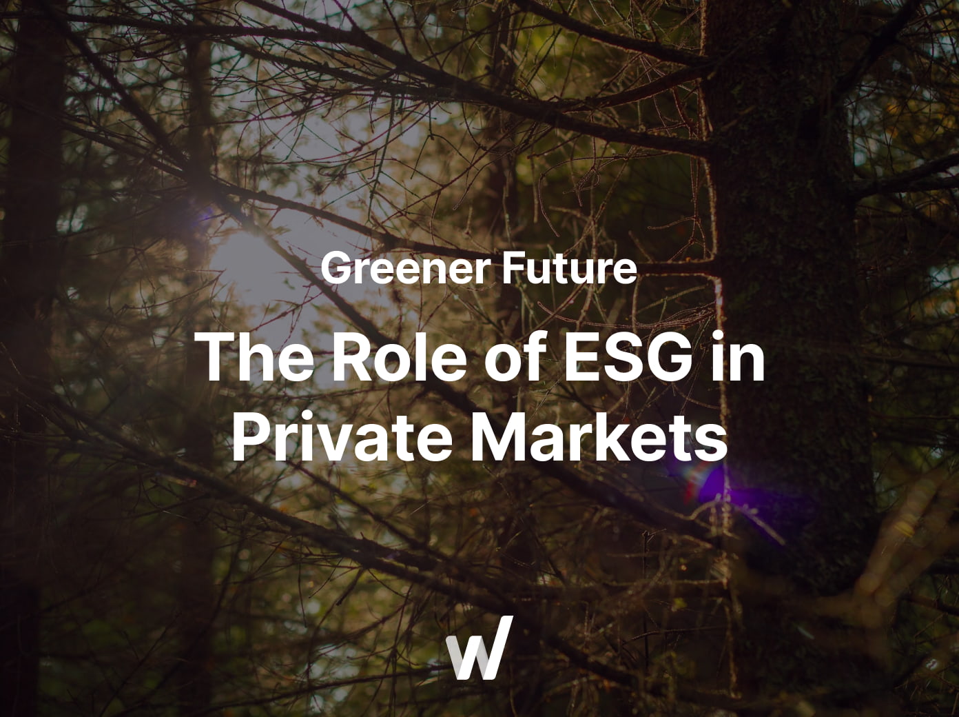 See how ESG transforms private equity and venture capital strategies today.