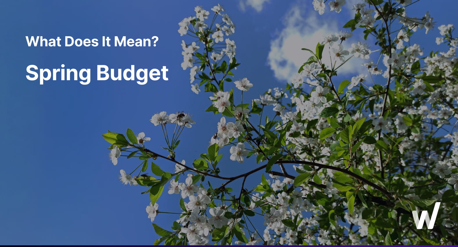 Spring Budget 2024: Impact & Analysis | Key Dates & Predictions