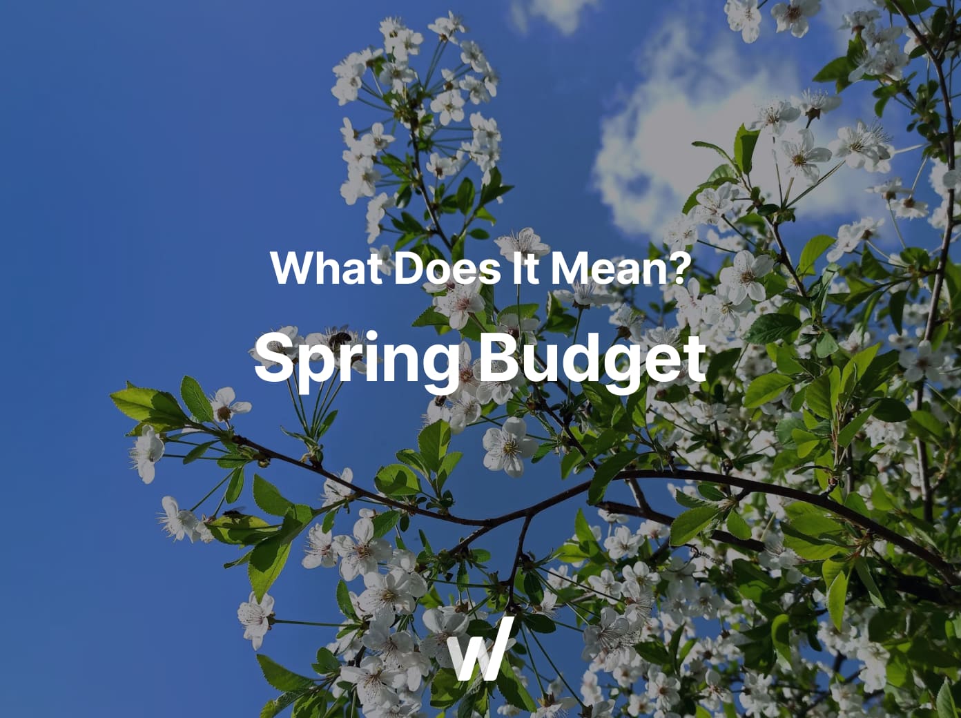 The UK Spring Budget 2024 is coming, here’s what it could mean for you.