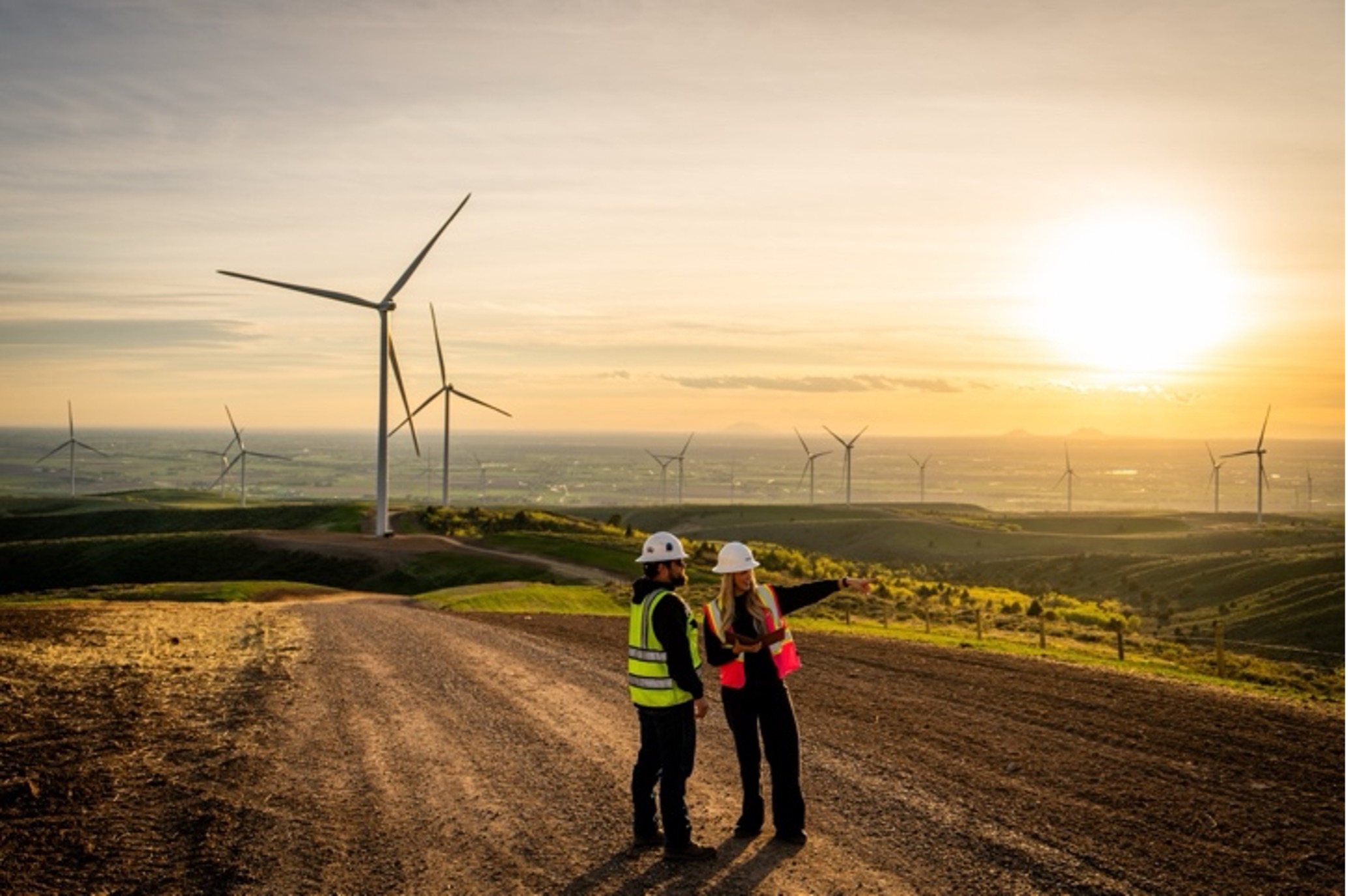 A woman and man in safety gear looking across a solar field