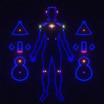 Digital Anatomy	