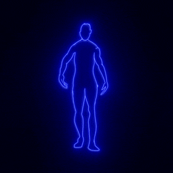META-FLESH	