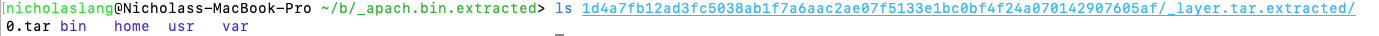 Triage malicious docker container extracted layer ls