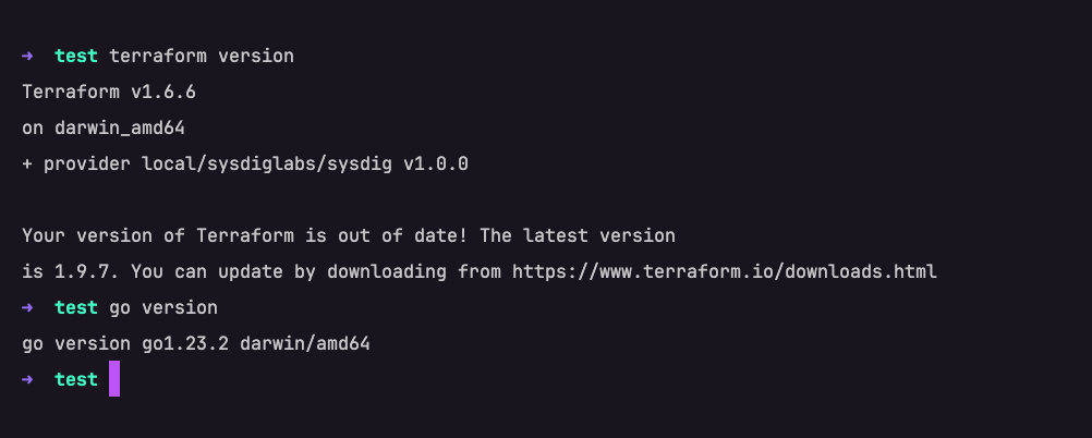 custom controls with sysdig secure