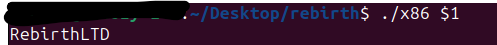 rebirth botnet