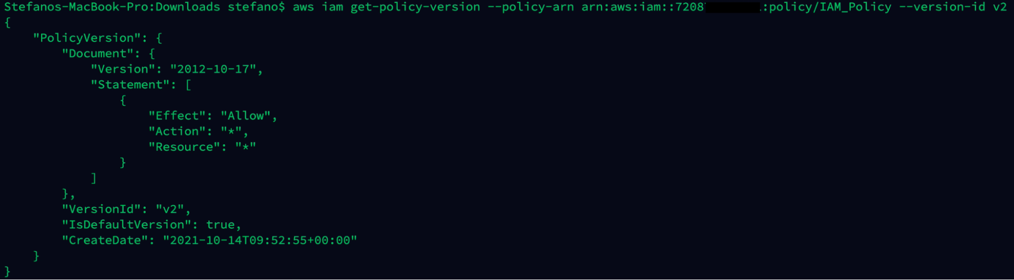Output AWS command get policy version