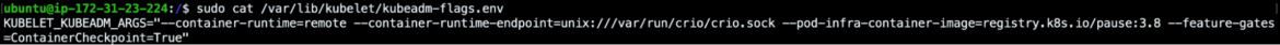 Forensic Container Checkpointing