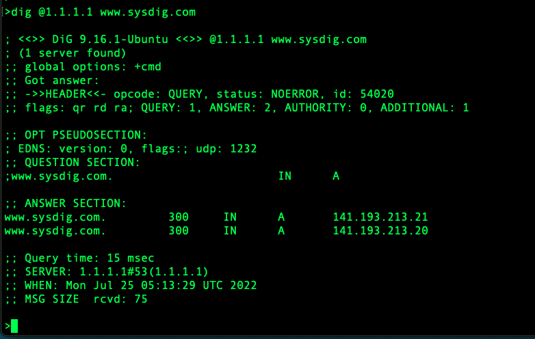 A Simple DNS Dig