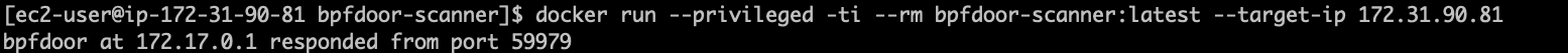 BPFDoor detection with scanner