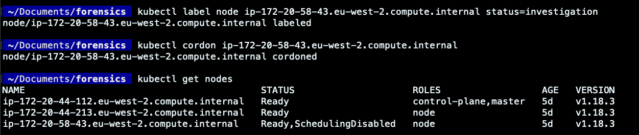 Practical Guide for DFIR Kubernetes: Label and cordoned Pod affected
