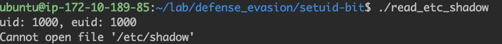 Mitre defense evasion - trying to read the file throws an error