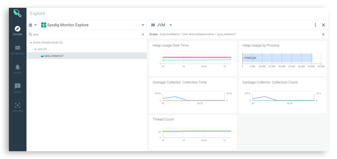 Java in Docker JVM Sysdig