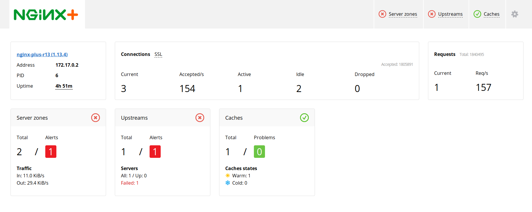 Nginx Plus Dashboard