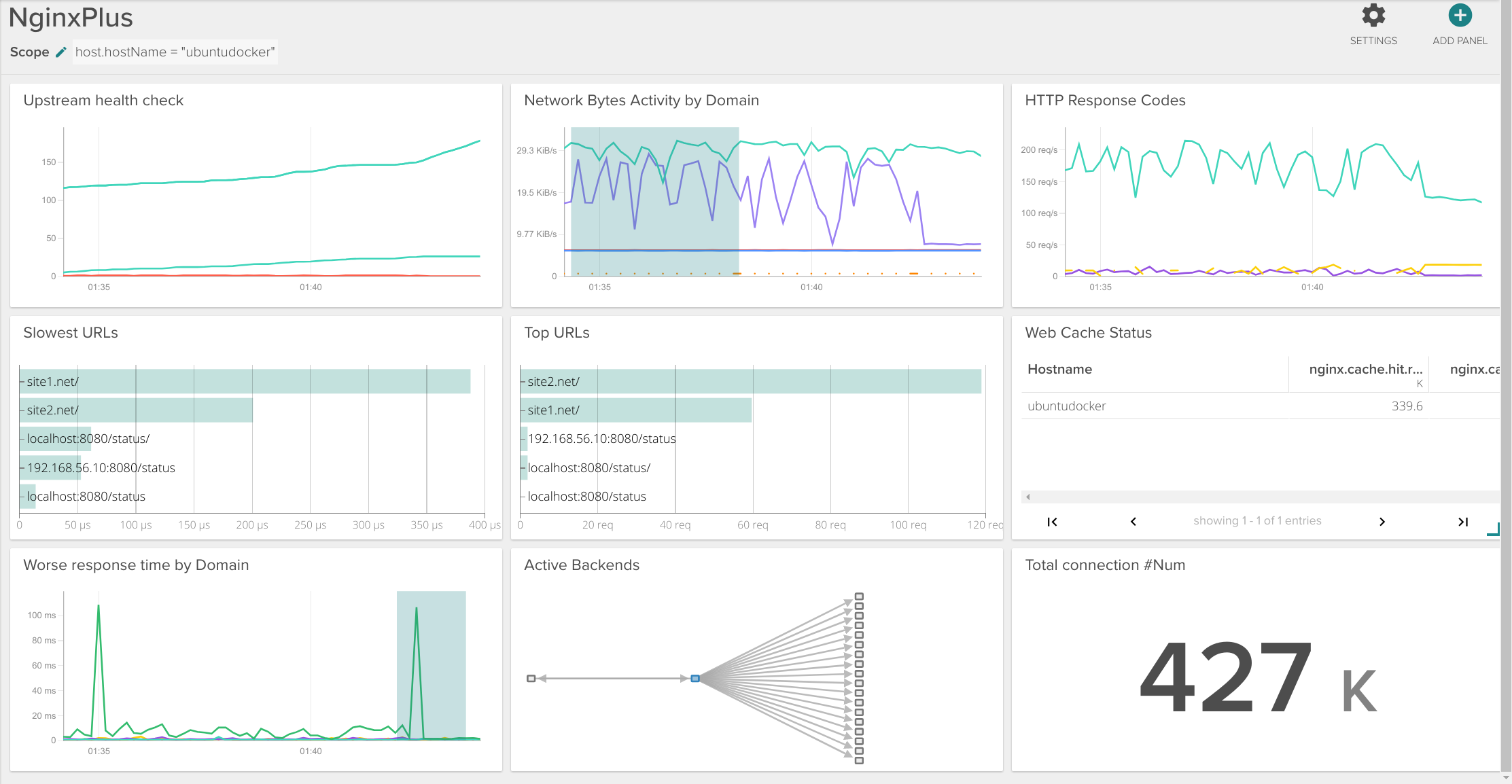 Nginx Plus Sysdig Monitor Dashboard