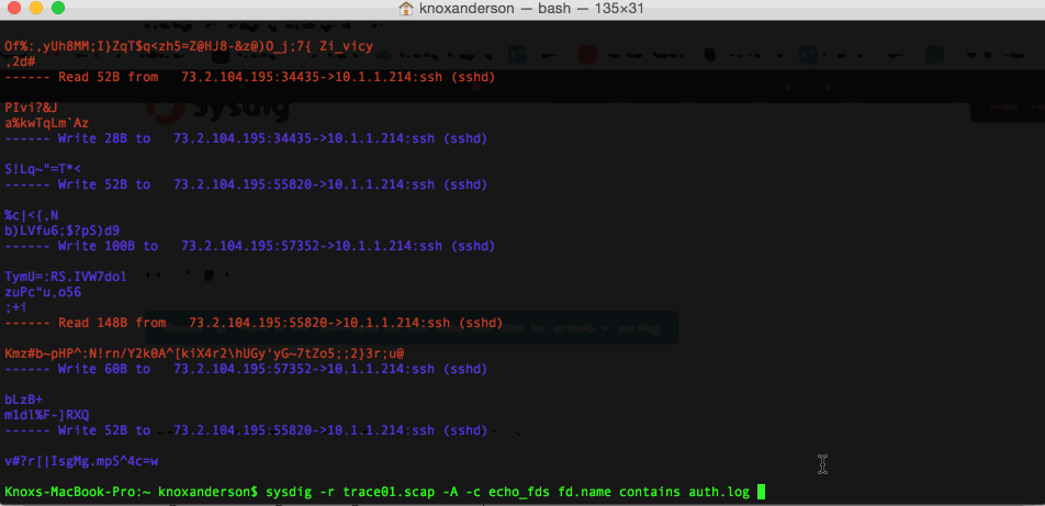 ssh activity