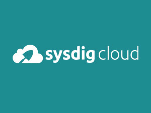 Announcing enterprise-grade container monitoring software