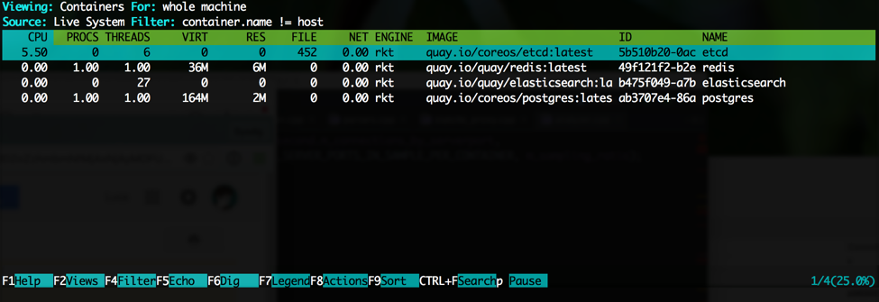 rkt monitoring with sysdig