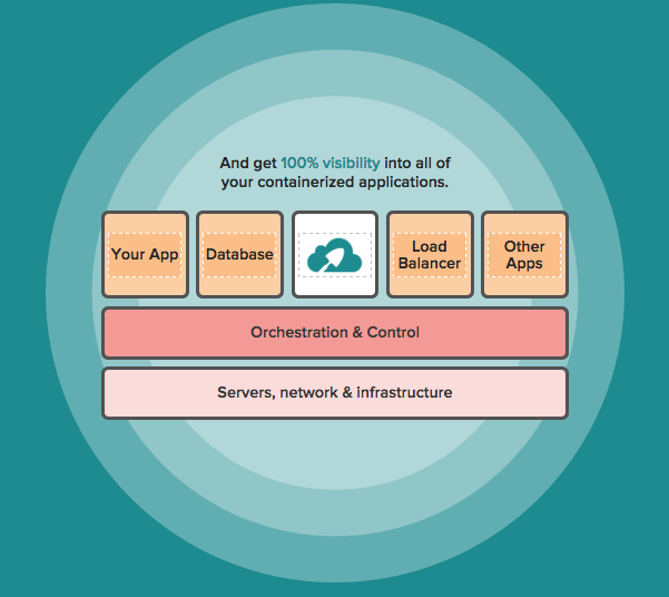 Sysdig Application Visibility