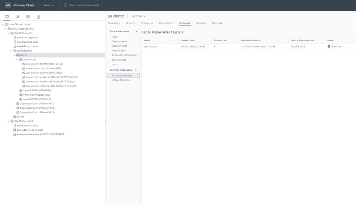 Tanzu Kubernetes Cluster View