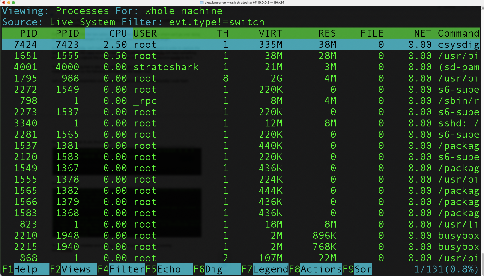 running statorshark