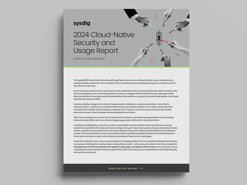 2024 Cloud-Native Security and Usage Summary