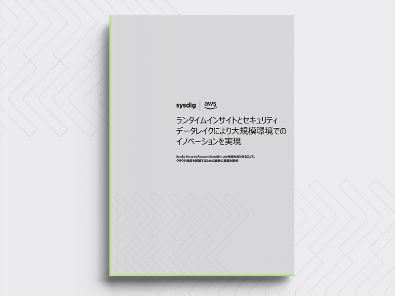 ランタイムインサイトとセキュリティデータレイクにより大規模環境でのイノベーションを実現