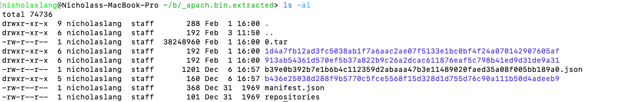 Triage malicious docker container layers