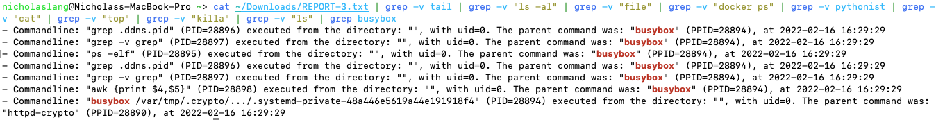 Triage malicious docker container auto-generated report
