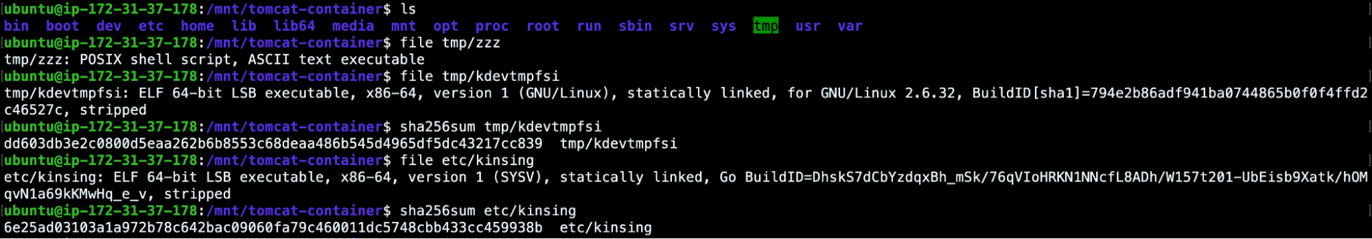 Practical Guide for Kubernetes DFIR: extract container