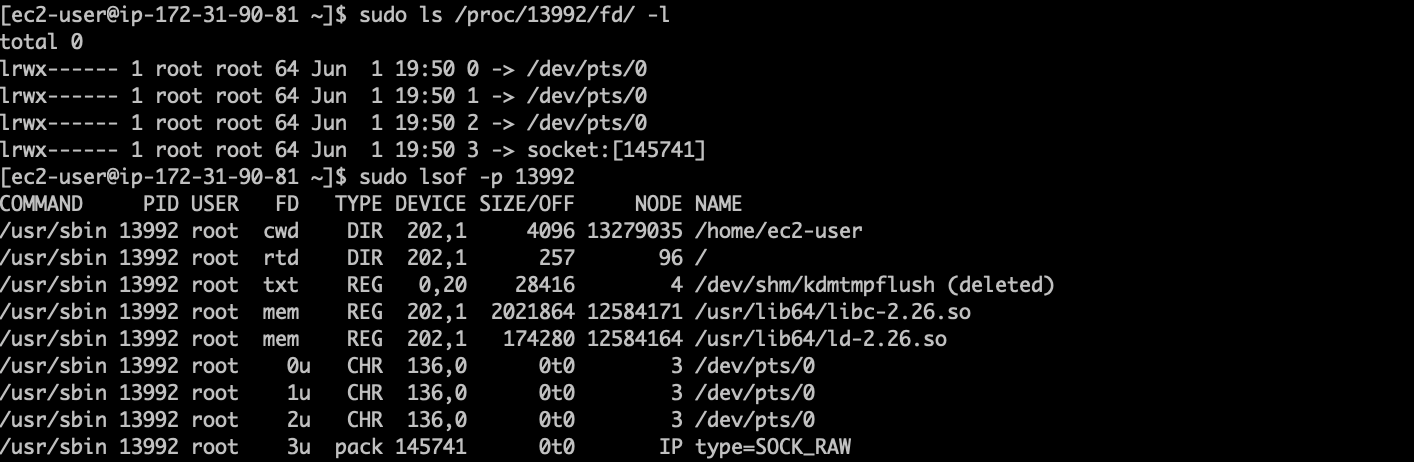 BPFDoor network connection