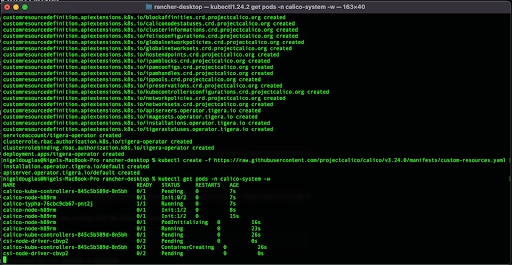 Dos Kubernetes Pods Calico CNI