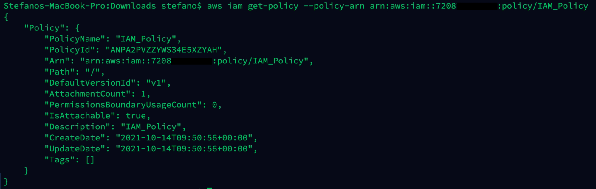 Output AWS command get policy