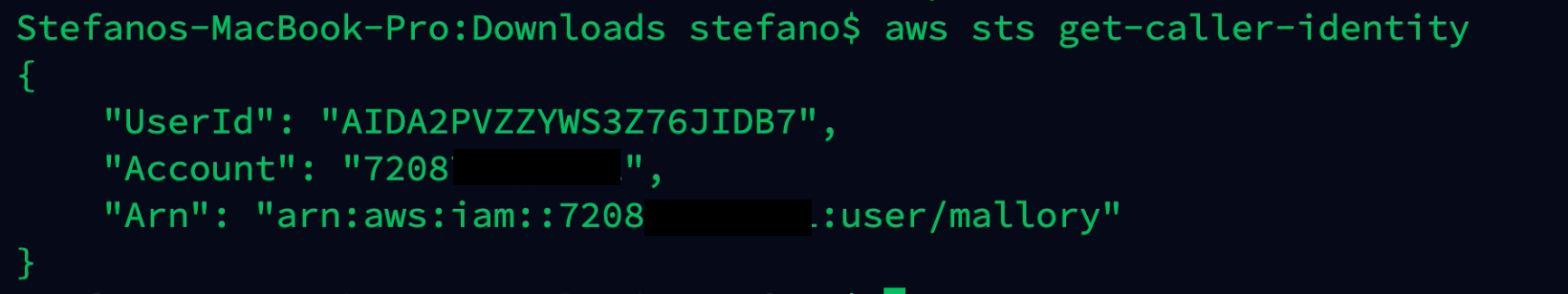Output AWS command with user identity