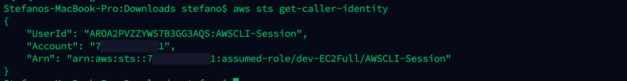 Output AWS command get caller identity