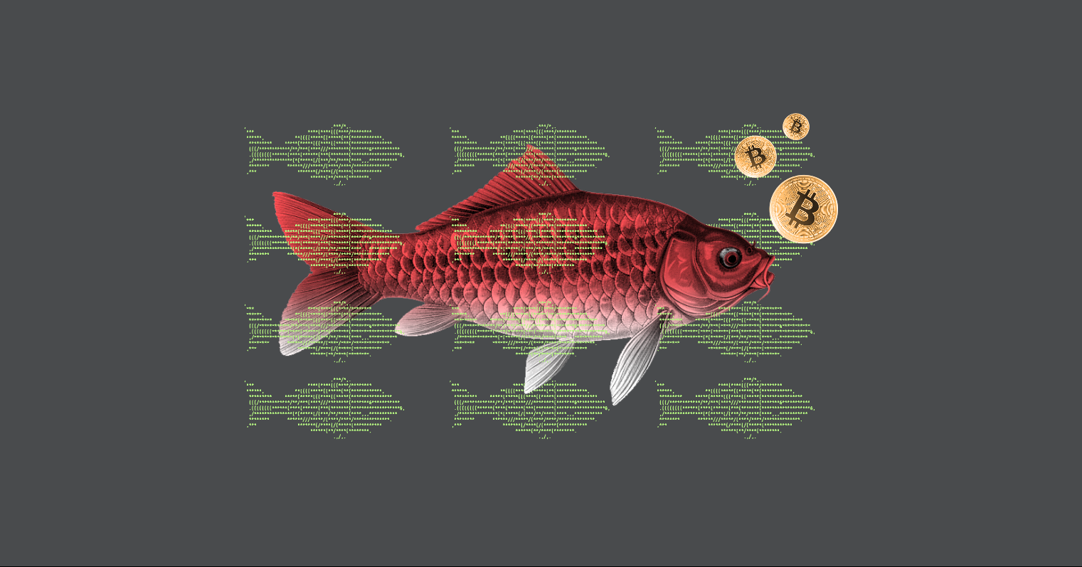 RUBYCARP: A Detailed Analysis of  a Sophisticated Decade-Old  Botnet Group