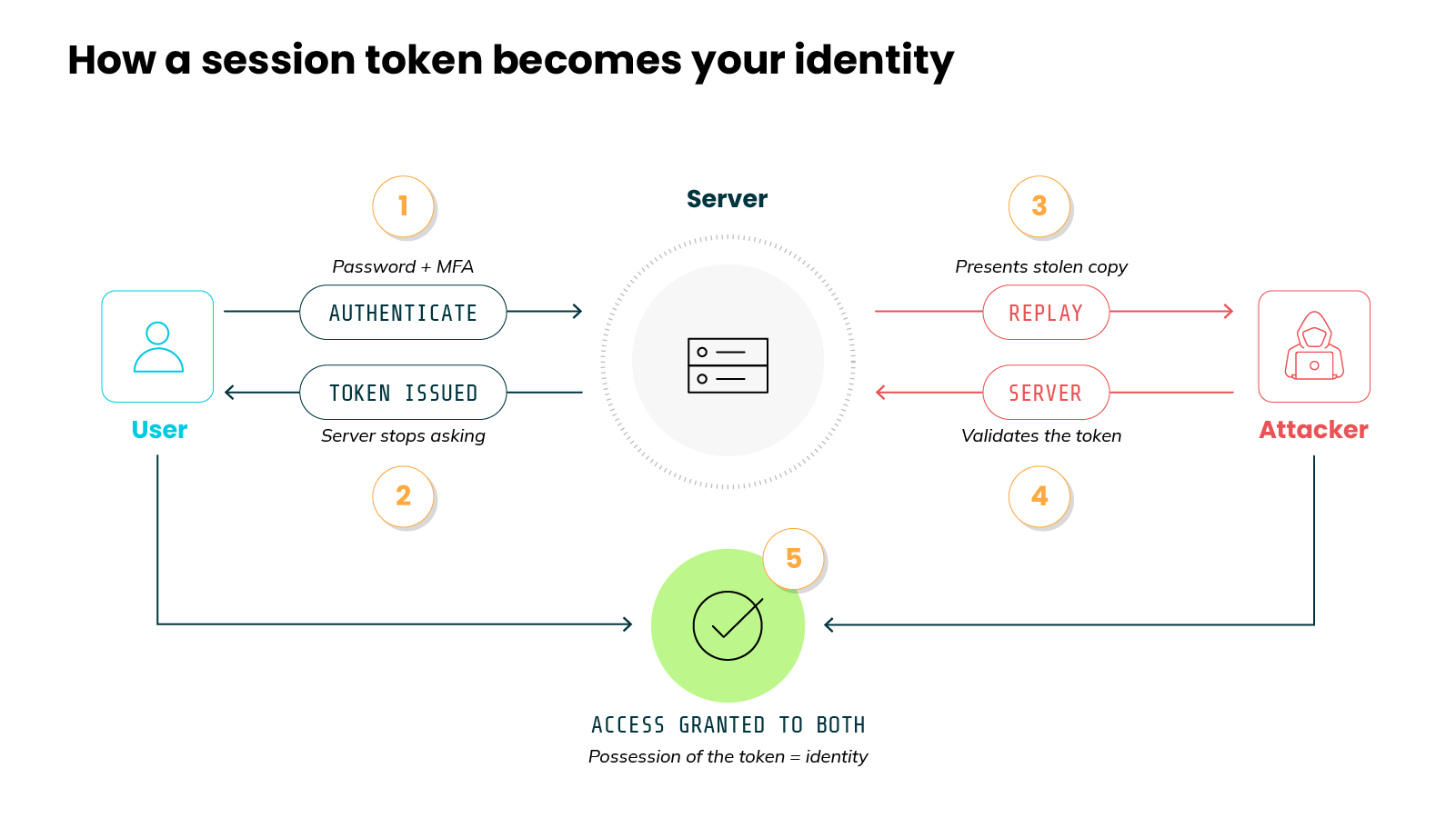 Diagram titled 'How a session token becomes your identity,' illustrating a five-step flow in which both a legitimate user and an attacker gain access using the same session token. On the left, a blue user icon labeled 'User' connects to a central circular node labeled 'Server' that contains a database symbol. Step 1 shows an arrow from the user to the server labeled 'AUTHENTICATE,' annotated above as 'Password + MFA.' Step 2 shows a return arrow from the server to the user labeled 'TOKEN ISSUED,' annotated below as 'Server stops asking.' On the right, a red attacker icon labeled 'Attacker' connects to the same server. Step 3 shows a red arrow from the attacker to the server labeled 'REPLAY,' annotated above as 'Presents stolen copy.' Step 4 shows a red return arrow from the server to the attacker labeled 'SERVER,' annotated below as 'Validates the token.' Both the user path on the left and the attacker path on the right converge downward into step 5, a green circle containing a checkmark, with the caption 'ACCESS GRANTED TO BOTH' and the subheading 'Possession of the token = identity.'