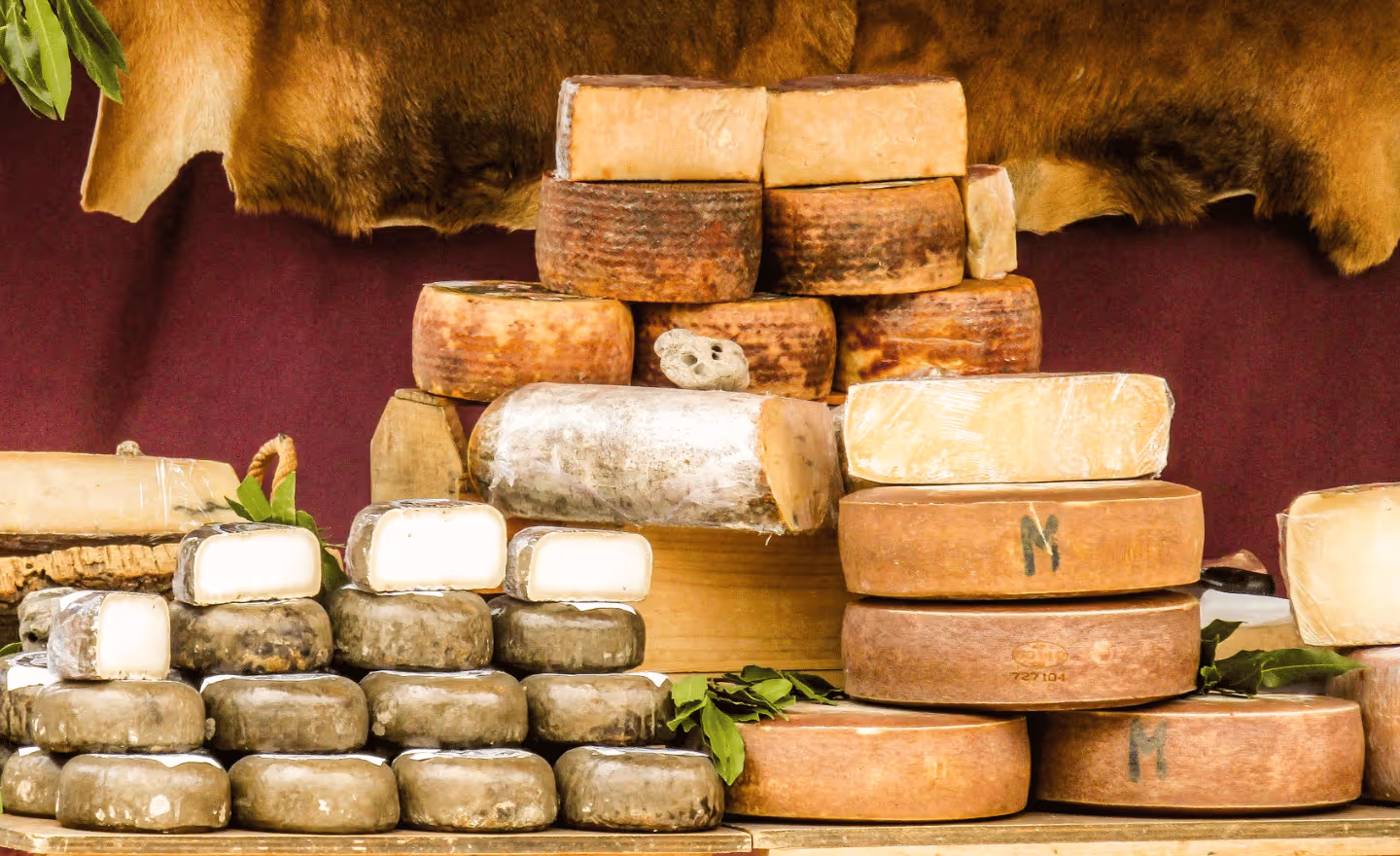 aged cheese and ancient cheese