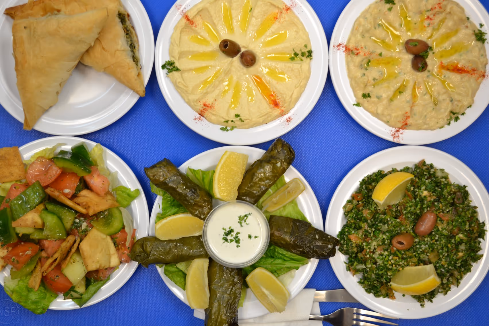 Mediterranean