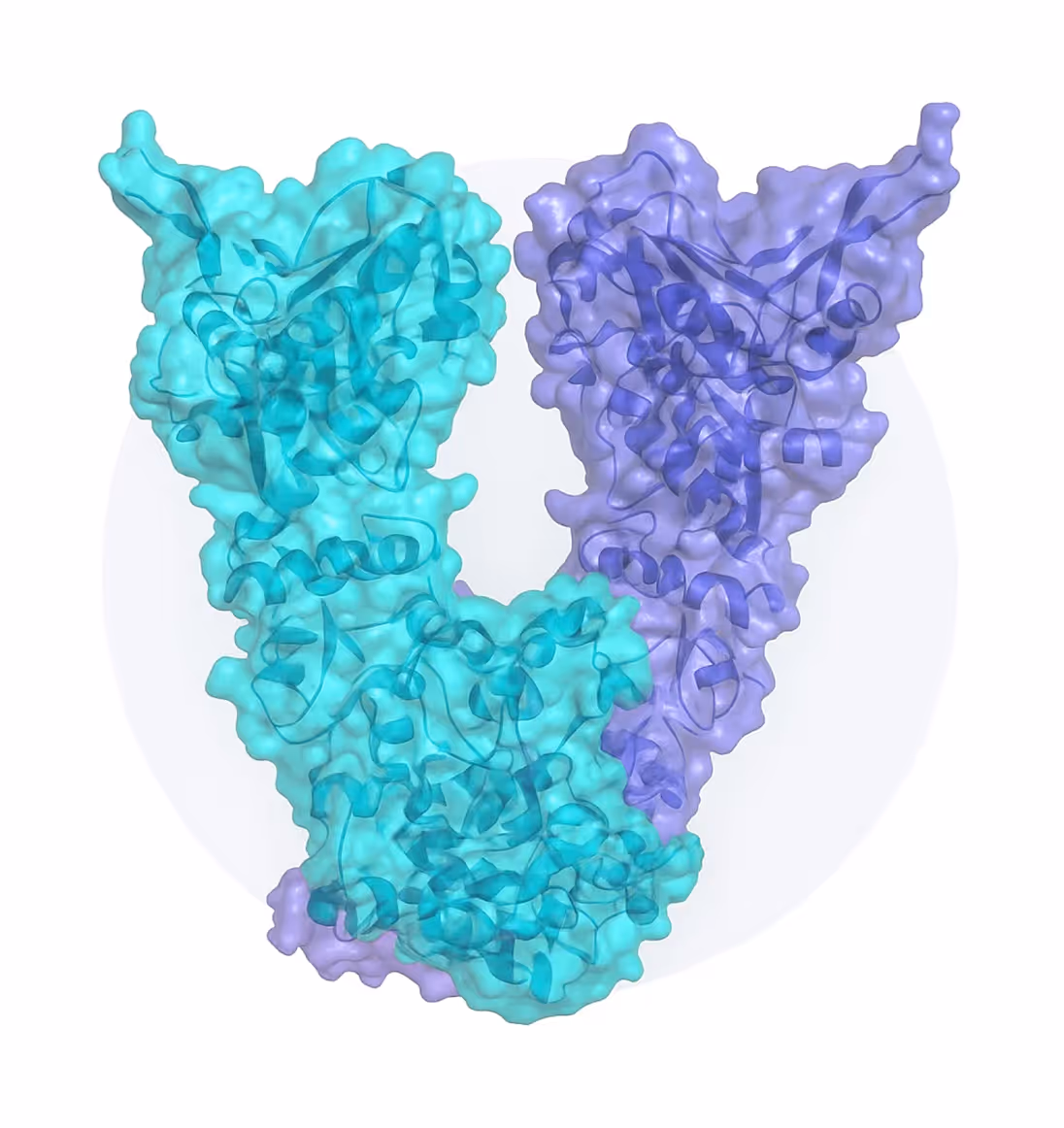 Poised to Realize the Promise of Hsp90 Inhibition