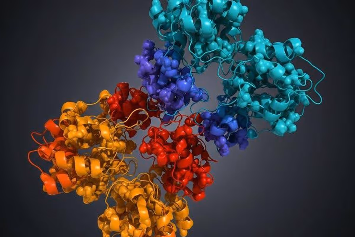 Structure-guided design of an Hsp90β N-terminal isoform-selective inhibitor