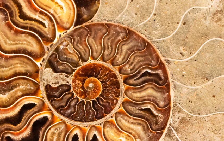 Ancestral Channeling